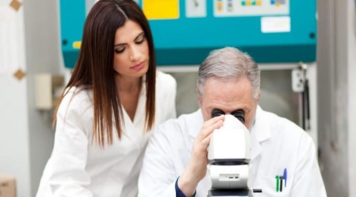 Что такое авидность к цитомегаловирусу?