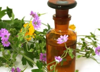 Как помогают травы от герпеса?