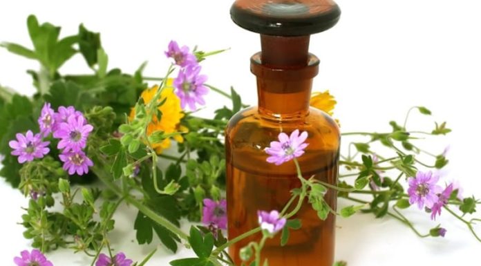 Как помогают травы от герпеса?