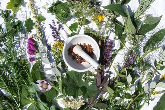 Лечение опоясывающего герпеса народными средствами