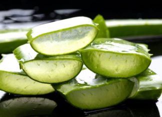 Алоэ от папиллом