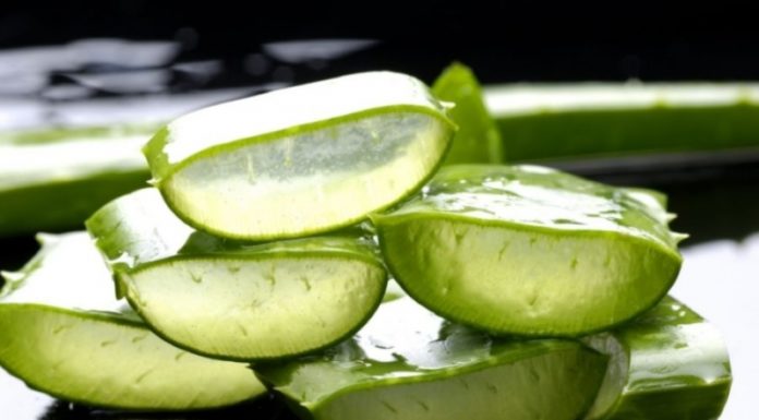 Алоэ от папиллом