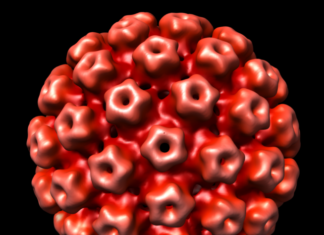 Виды папиллом и их диагностика