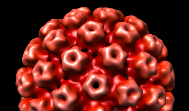 Виды папиллом и их диагностика