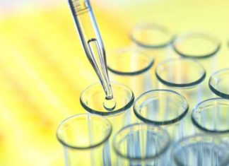 Как обнаружить антитела к цитомегаловирусу