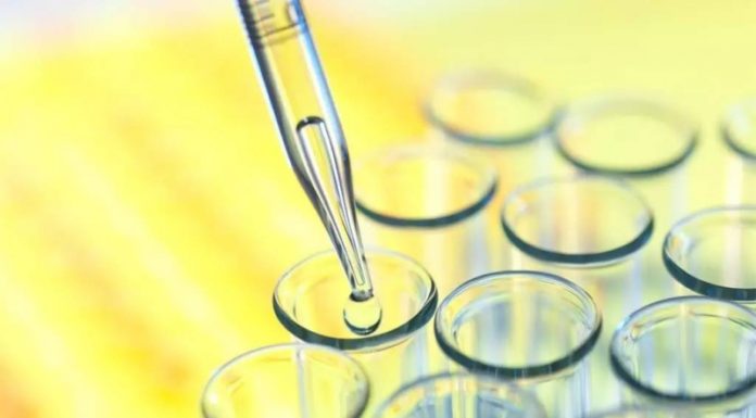 Как обнаружить антитела к цитомегаловирусу