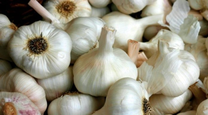 Убираем папилломы с помощью меда и чеснока