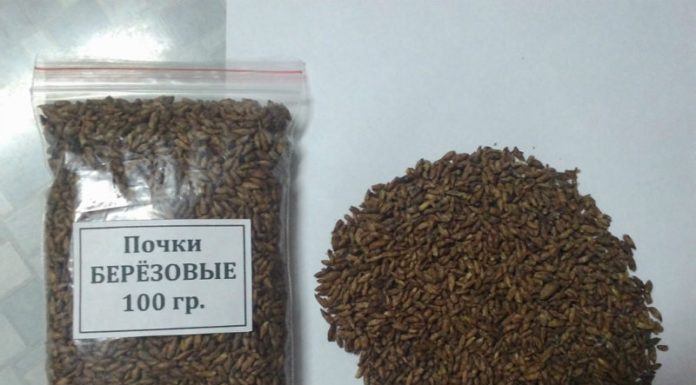 Березовый деготь и почки от папиллом